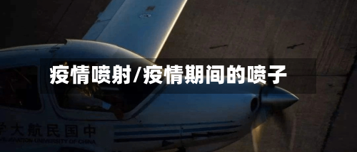 疫情喷射/疫情期间的喷子-第2张图片