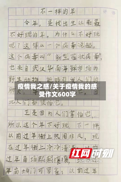 疫情我之感/关于疫情我的感受作文600字-第2张图片