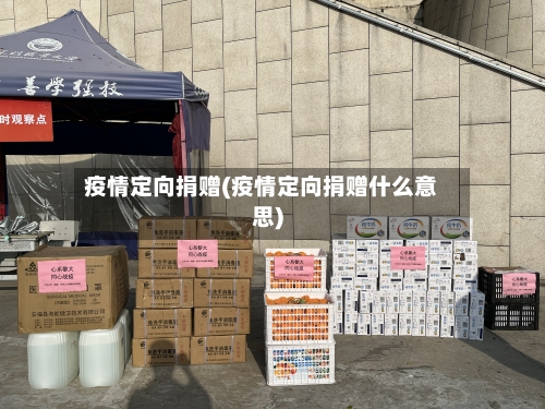 疫情定向捐赠(疫情定向捐赠什么意思)-第2张图片