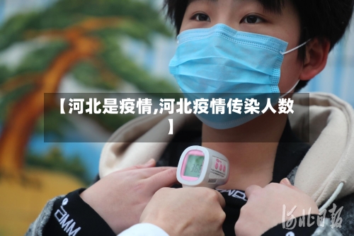 【河北是疫情,河北疫情传染人数】-第2张图片