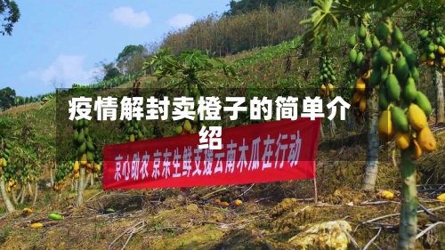 疫情解封卖橙子的简单介绍-第3张图片