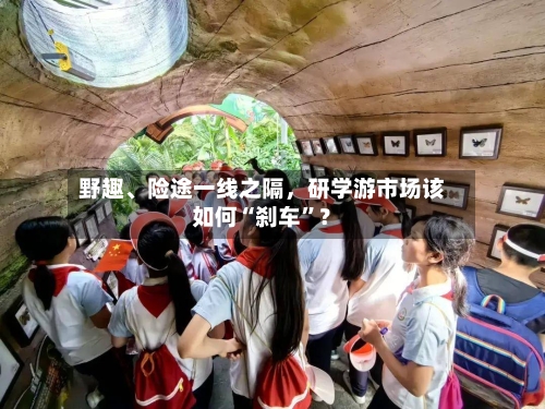 野趣	、险途一线之隔，研学游市场该如何“刹车”？-第2张图片
