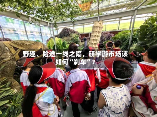 野趣、险途一线之隔，研学游市场该如何“刹车”？