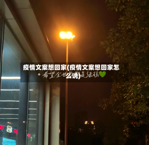 疫情文案想回家(疫情文案想回家怎么说)-第3张图片