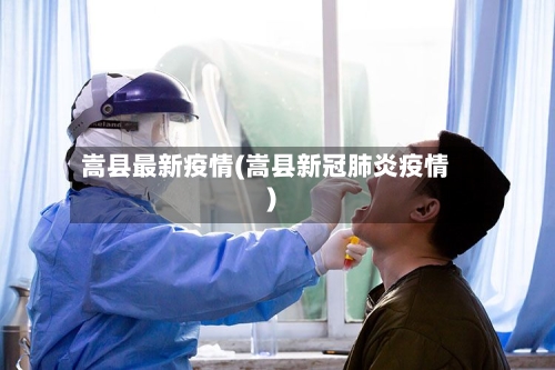 嵩县最新疫情(嵩县新冠肺炎疫情)-第3张图片