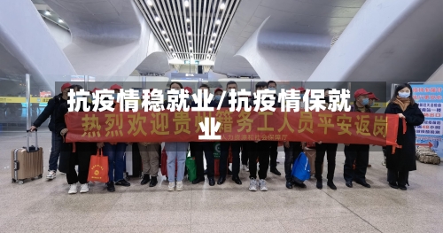 抗疫情稳就业/抗疫情保就业-第2张图片