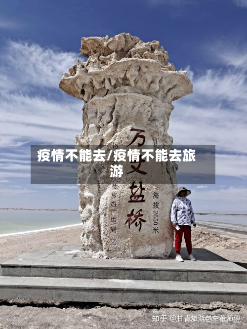 疫情不能去/疫情不能去旅游-第2张图片