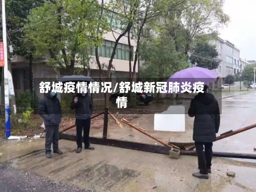 舒城疫情情况/舒城新冠肺炎疫情