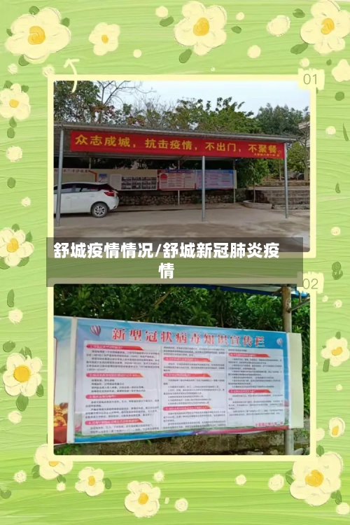 舒城疫情情况/舒城新冠肺炎疫情-第2张图片