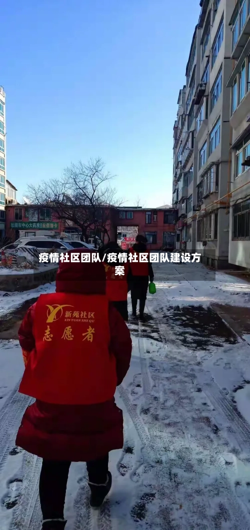 疫情社区团队/疫情社区团队建设方案-第2张图片