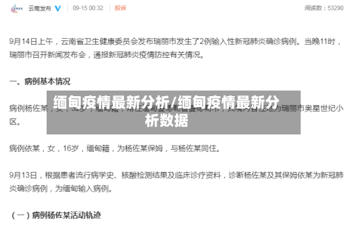 缅甸疫情最新分析/缅甸疫情最新分析数据-第2张图片