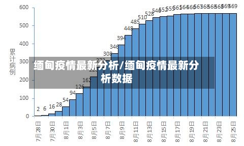 缅甸疫情最新分析/缅甸疫情最新分析数据