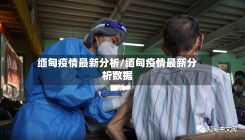 缅甸疫情最新分析/缅甸疫情最新分析数据-第3张图片