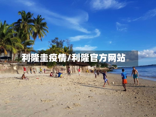 利隆圭疫情/利隆官方网站-第2张图片