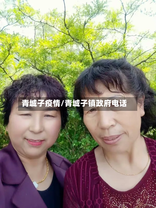 青城子疫情/青城子镇政府电话