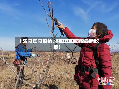 【洛阳宜阳疫情,洛阳宜阳防疫最新政策】