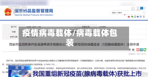 疫情病毒载体/病毒载体包装-第2张图片