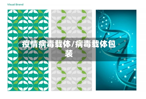 疫情病毒载体/病毒载体包装