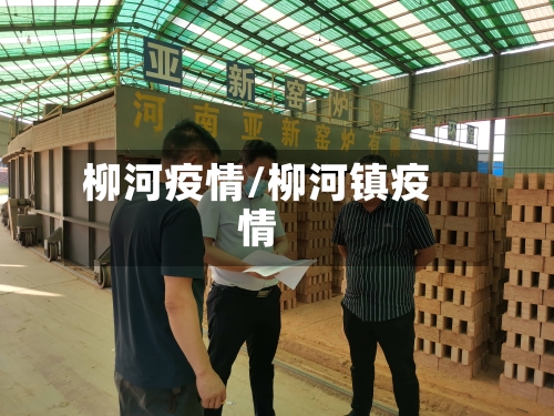 柳河疫情/柳河镇疫情-第2张图片