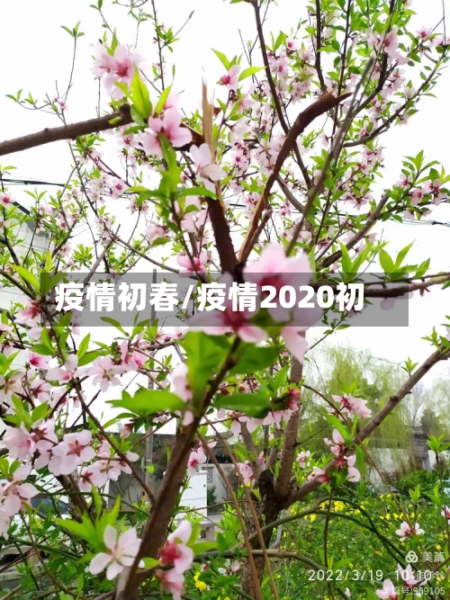 疫情初春/疫情2020初