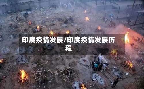 印度疫情发展/印度疫情发展历程