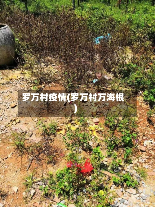 罗万村疫情(罗万村万海根)