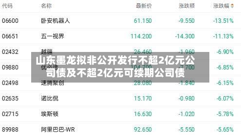 山东墨龙拟非公开发行不超2亿元公司债及不超2亿元可续期公司债-第2张图片