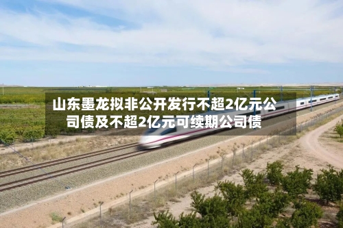 山东墨龙拟非公开发行不超2亿元公司债及不超2亿元可续期公司债