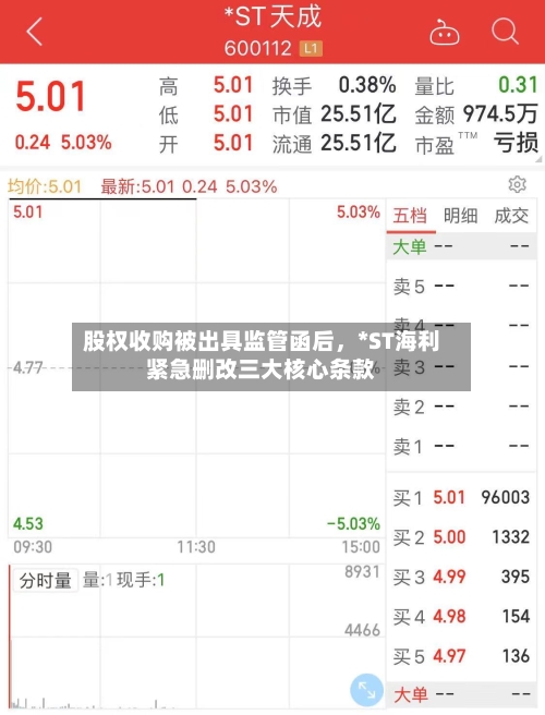 股权收购被出具监管函后，*ST海利紧急删改三大核心条款-第3张图片