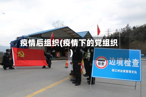 疫情后组织(疫情下的党组织)