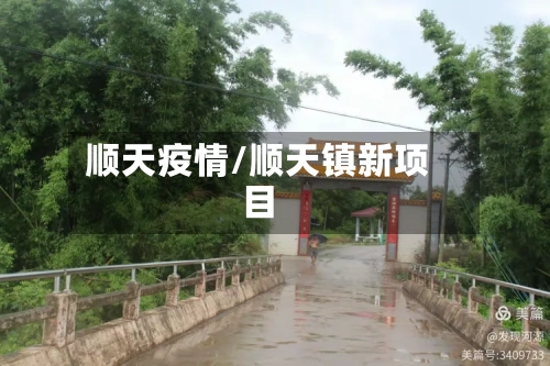 顺天疫情/顺天镇新项目