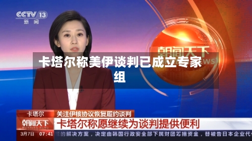 卡塔尔称美伊谈判已成立专家组