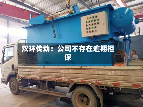 双环传动:公司不存在逾期担保-第2张图片