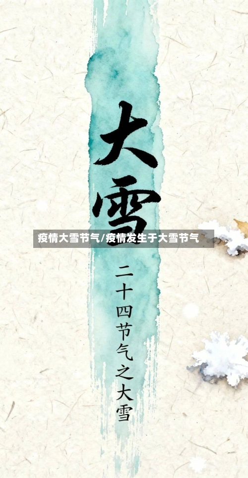 疫情大雪节气/疫情发生于大雪节气-第2张图片