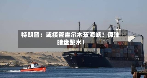 特朗普：或接管霍尔木兹海峡！原油暗盘跳水！