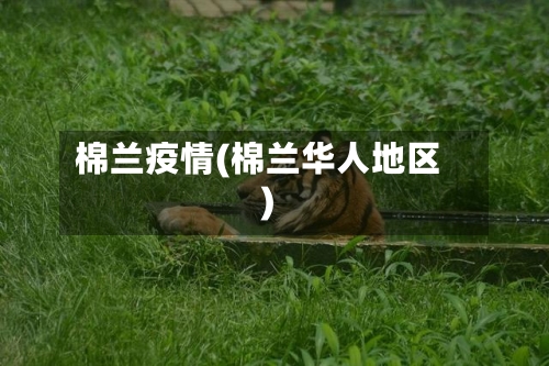 棉兰疫情(棉兰华人地区)