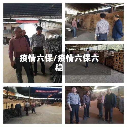 疫情六保/疫情六保六稳-第2张图片