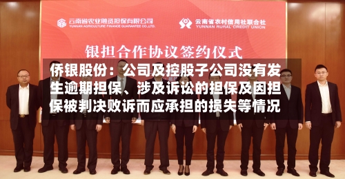 侨银股份：公司及控股子公司没有发生逾期担保、涉及诉讼的担保及因担保被判决败诉而应承担的损失等情况
