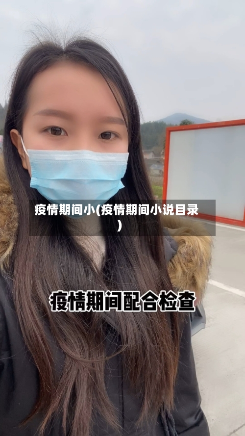 疫情期间小(疫情期间小说目录)