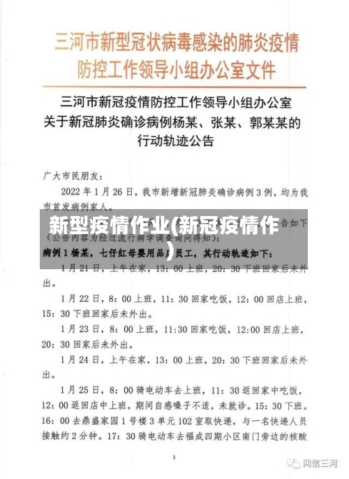 新型疫情作业(新冠疫情作)-第3张图片