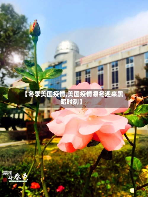 【冬季美国疫情,美国疫情凛冬迎来黑暗时刻】