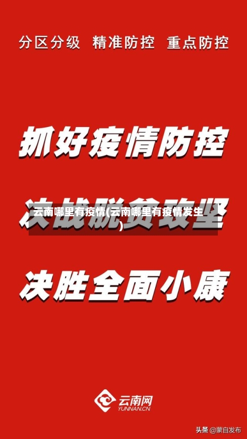 云南哪里有疫情(云南哪里有疫情发生)-第2张图片
