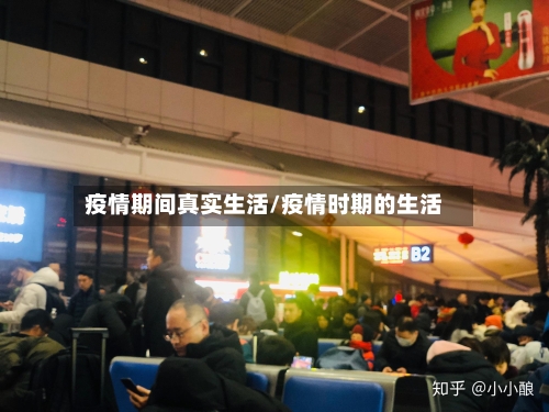 疫情期间真实生活/疫情时期的生活-第2张图片