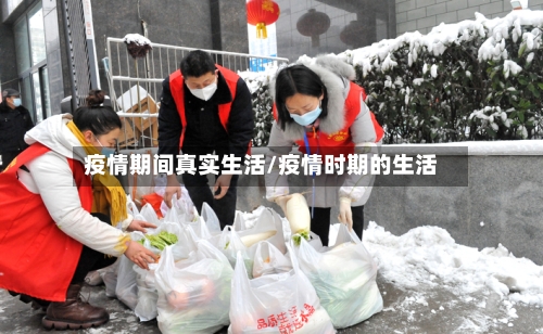 疫情期间真实生活/疫情时期的生活-第3张图片