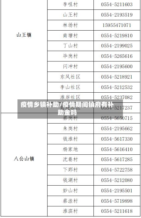 疫情乡镇补助/疫情期间镇府有补助金吗-第2张图片