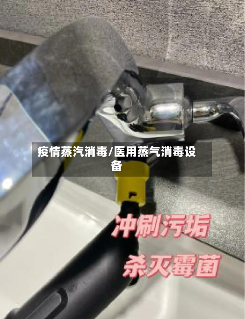 疫情蒸汽消毒/医用蒸气消毒设备