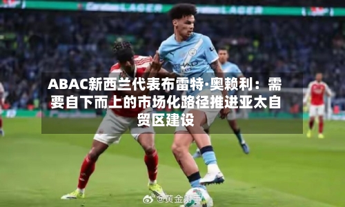 ABAC新西兰代表布雷特·奥赖利:需要自下而上的市场化路径推进亚太自贸区建设-第2张图片