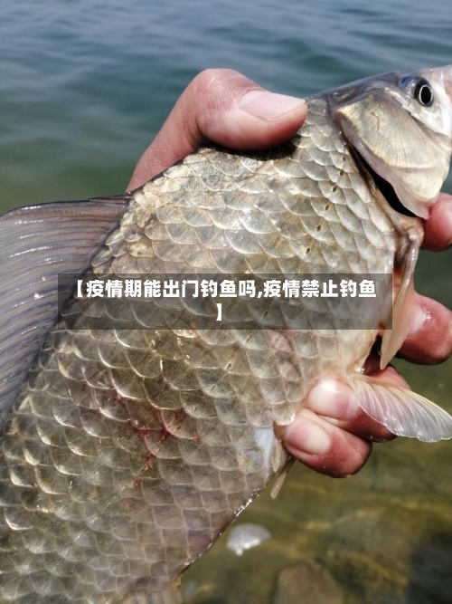 【疫情期能出门钓鱼吗,疫情禁止钓鱼】