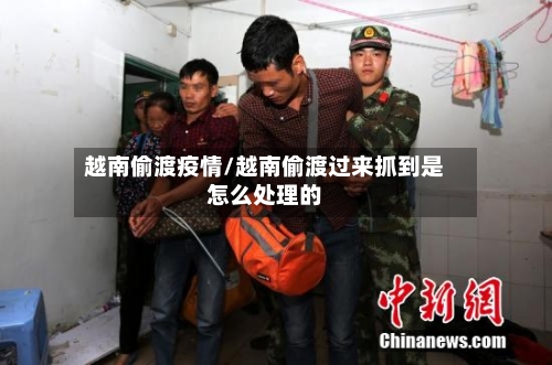 越南偷渡疫情/越南偷渡过来抓到是怎么处理的-第2张图片