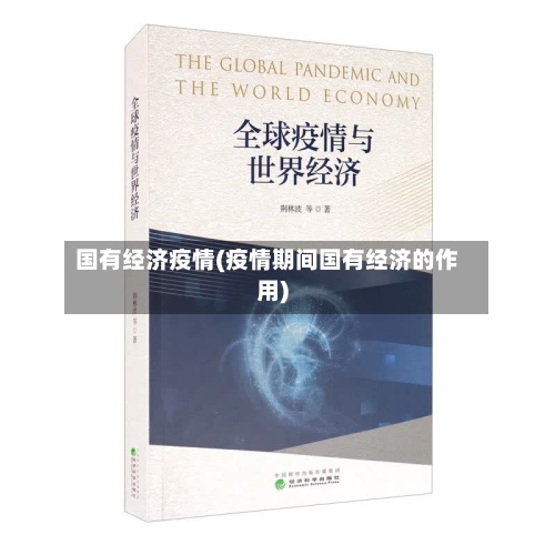 国有经济疫情(疫情期间国有经济的作用)